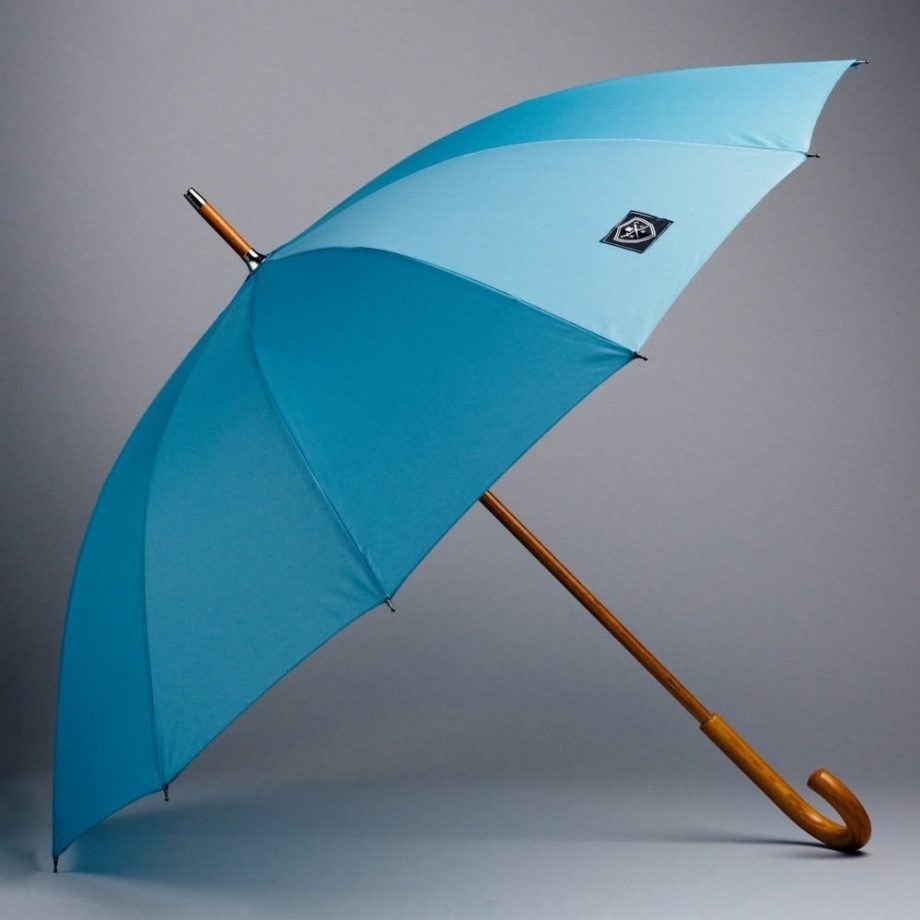 Classic Light Blue Umbrella Rain and Son Classic and Stylish Umbrellas