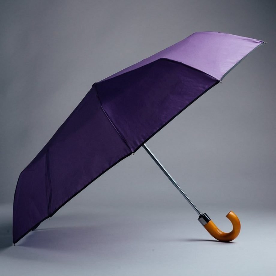 Purple Compact Reflective Umbrella Rain and Son Classic and Stylish